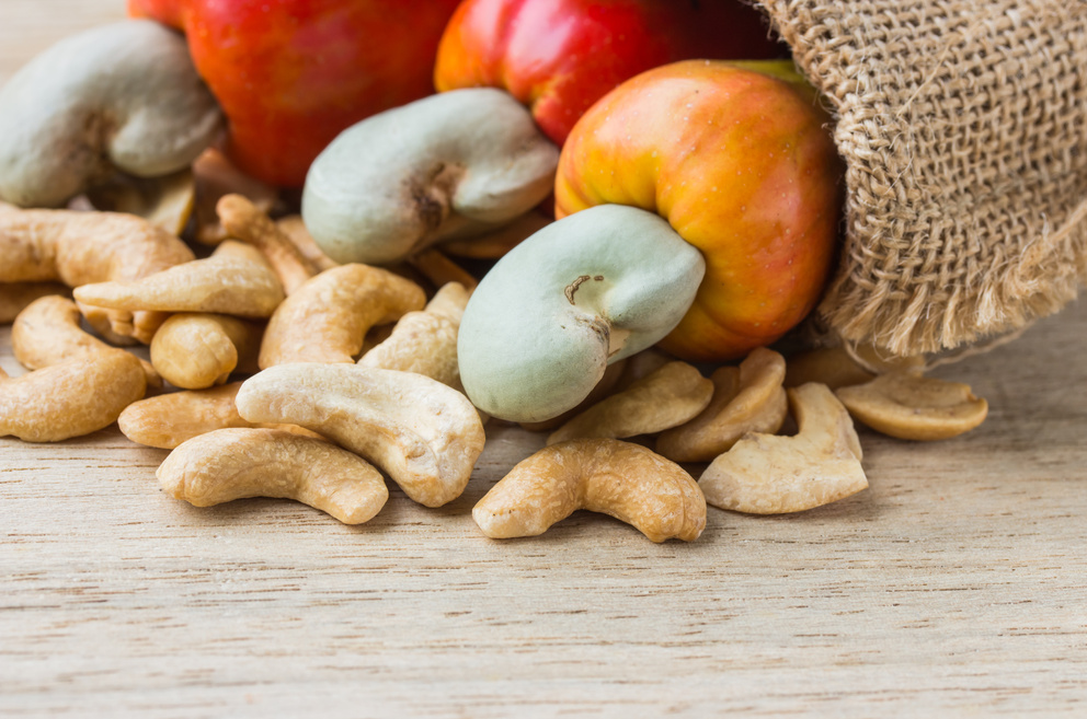 raw cashew nuts Fresh Cashew Nut pour from sack