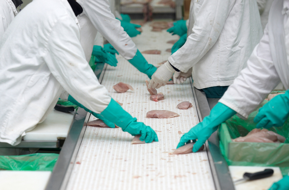 poultry processing meat food industry